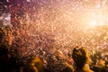 Explosive confetti at an entertainment party concert