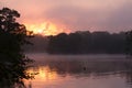 Explosive dawn sunrise over a calm, misty lake Royalty Free Stock Photo