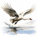 Explosive Wildlife: A White Swan In Flight - Watercolor Illustration