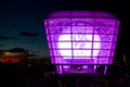 Expo 2010 Shanghai - Taiwan Pavilion - purple