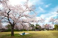 Expo `70 Commemorative Park at spring in Osaka, Japan