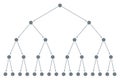 Exponential phase, wave of an infection or chain reaction with exponential growth