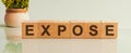 EXPOSE word made with building blocks, white background