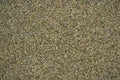 Exposed aggregate concrete 01 Royalty Free Stock Photo