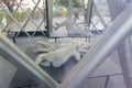 Exposed dead people covered with volcanic ash in the Pompeii museum