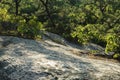 Exposed granite hillside Royalty Free Stock Photo