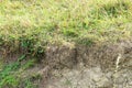 Exposed soil under grass after soil erosion Royalty Free Stock Photo
