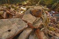 Exposed streambed with large stones