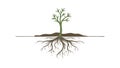 Exposed Tree Root System Icon, vector design Generative AI Royalty Free Stock Photo