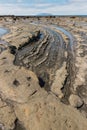 Exposed volcanic boulders on New Zealand coast