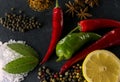 Exposition close up of fresh organic peppers, half of lemon, mont leave, salt and anis on dark background. Healthy cocking, stone Royalty Free Stock Photo