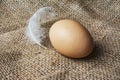 Exposition of fresh eggs, easter, eggs on linen talles. Royalty Free Stock Photo