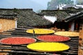 Exposure of crops in Autumn season at Huanglin village Royalty Free Stock Photo