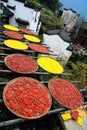 Exposure of crops in Autumn season at Huanglin village Royalty Free Stock Photo