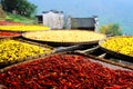 Exposure of crops in Autumn season at Huanglin village Royalty Free Stock Photo