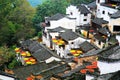 Exposure of crops in Autumn season at Huanglin village Royalty Free Stock Photo