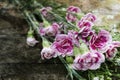 Exposure of pink flowers,wood texture background Royalty Free Stock Photo