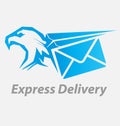 Express, fast delivery icon