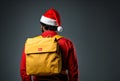 Express Shipping, courier worker delivering, shipping Christmas parcel, portrait courier