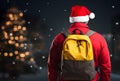 Express Shipping, courier worker delivering, shipping Christmas parcel, portrait courier