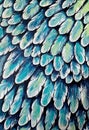 Expressionist Painting of Feathers Royalty Free Stock Photo