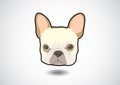 Angry Cute French Bulldog Face.