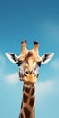 Expressive Giraffe Against A Blue Sky