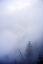 xpressive landscape with mountains and forest in fog.