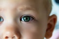 Expressive look of a small child. Baby\'s eye close-up. Gray green iris