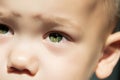 Expressive look of a small child. Baby\'s eye close-up. Gray green iris