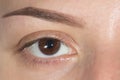 Big eye Eyebrow after correction Royalty Free Stock Photo