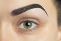 Expressive significant eye perfect shape of eyebrow Royalty Free Stock Photo