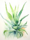 Expressive Watercolor Aloe Vera Plant Leaves AI Generated