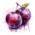 An expressive watercolor painting of a plum with vivid splashes