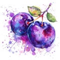An expressive watercolor painting of a plum with vivid splashes
