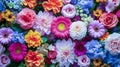 Exquisite Array Of Artificial Flowers In Spectrum Of Colors Ranging From Deep Blues To Vibrant Pinks