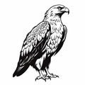 Exquisite Black And White Eagle Silhouette On White Background Royalty Free Stock Photo