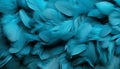 Exquisite blue feather texture background with intricate digital art of grand bird feathers