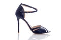 Exquisite blue high-heeled sandals