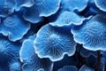 Exquisite Blue mushroom closeup background. Generate Ai Royalty Free Stock Photo