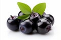 Exquisite close up of luscious, ripe huckleberries artfully presented on a pure white background