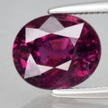 Exquisite Close-Up of a Radiant Oval-Cut Pinkish Red Ruby Gemstone Embraced by Precision Tweezers Royalty Free Stock Photo