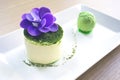 Exquisite, delicious light and soft dessert with green tea