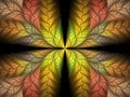 The Exquisite Dream Flame Fractal