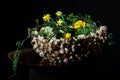 Exquisite flower arrangement with mushrooms and daffodils Royalty Free Stock Photo