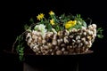 Exquisite flower arrangement with mushrooms and daffodils Royalty Free Stock Photo