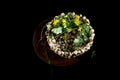 Exquisite flower arrangement with mushrooms and daffodils