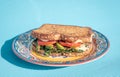 Exquisite ham sandwich with whole wheat bread  tomato  lettuce  avocado and cheese inside on a plate on a blue table Royalty Free Stock Photo