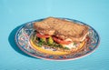Exquisite ham sandwich with whole wheat bread  tomato  lettuce  avocado and cheese inside on a plate on a blue table Royalty Free Stock Photo