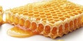 Exquisite Honeycomb CloseUp A Detailed Macro View of Natures Hexagonal Pattern Perfect for Design Inspiration and Food